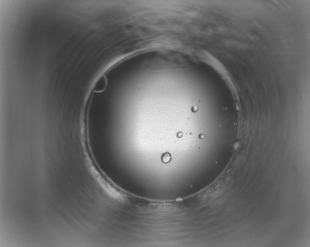 X0000070240811200606091333