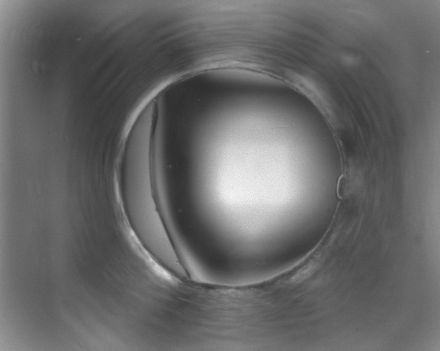 X0000070240812200606091333