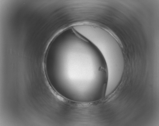 X0000070240813200606091333