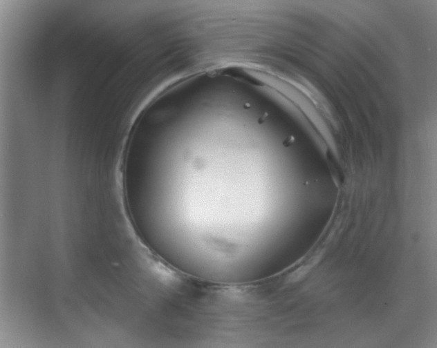 X0000070240814200606091333