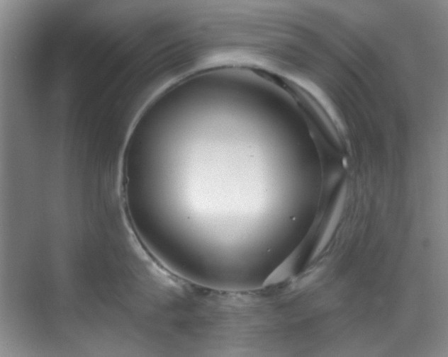 X0000070240815200606091333