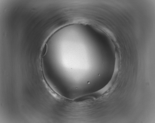 X0000070240816200606091333