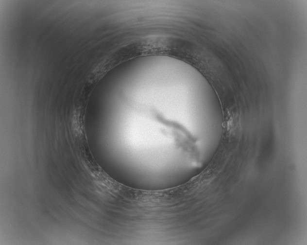 X0000070240819200606091332