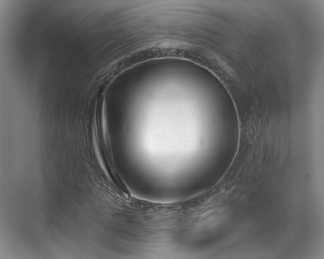 X0000070240821200606091332