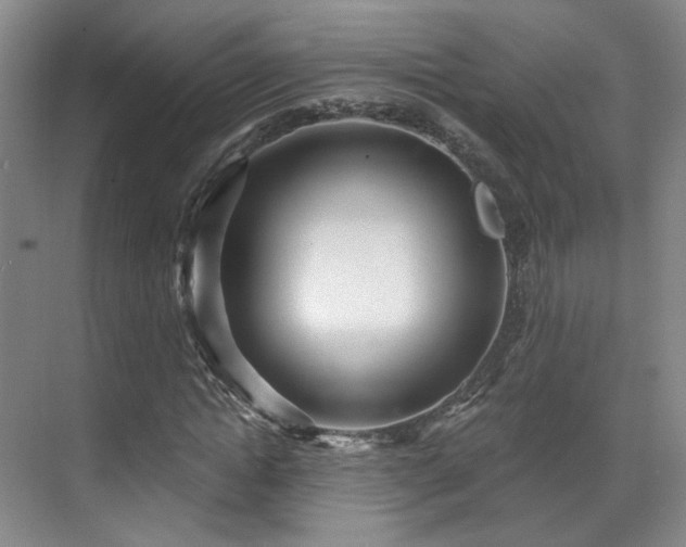 X0000070240822200606091332