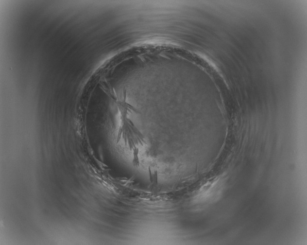 X0000070240823200606091332