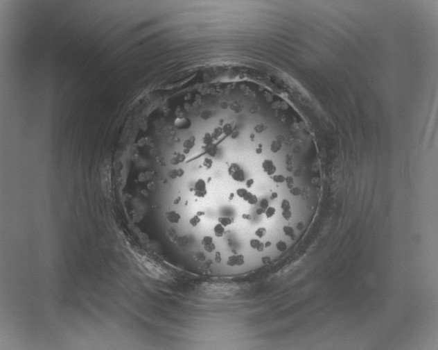 X0000070240825200606091332