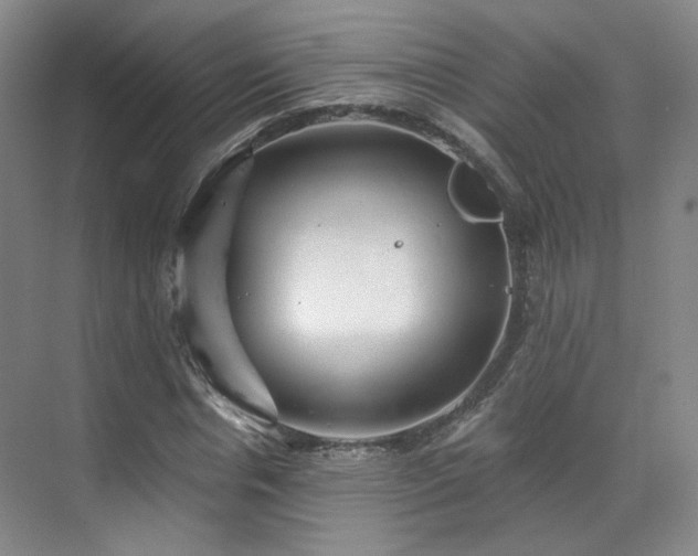 X0000070240826200606091332