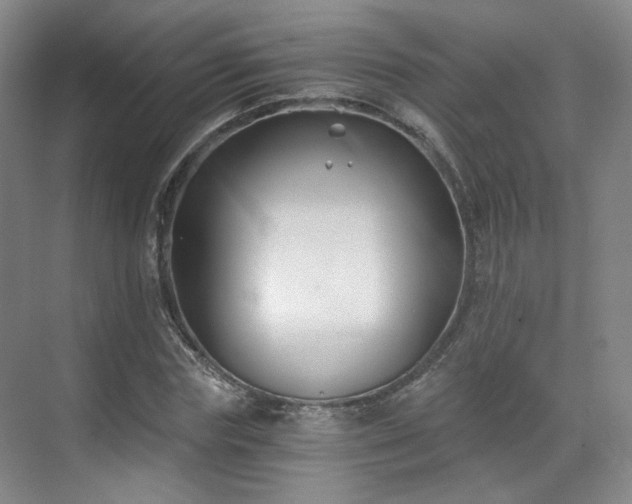 X0000070240827200606091332