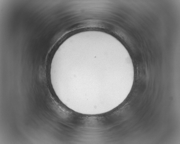 X0000070240828200606091332