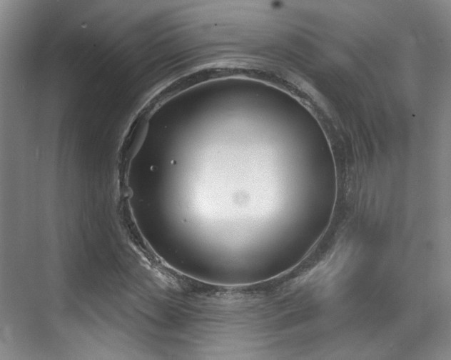 X0000070240829200606091332