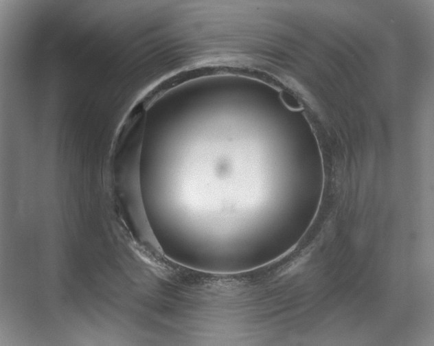 X0000070240830200606091332