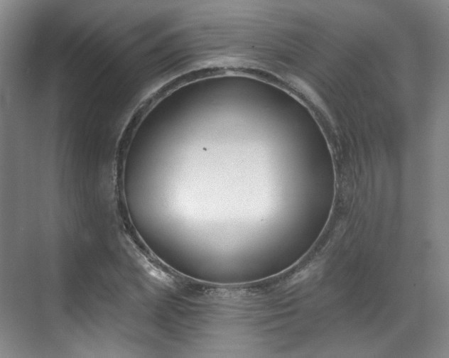 X0000070240831200606091332