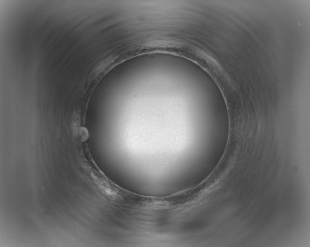 X0000070240833200606091332