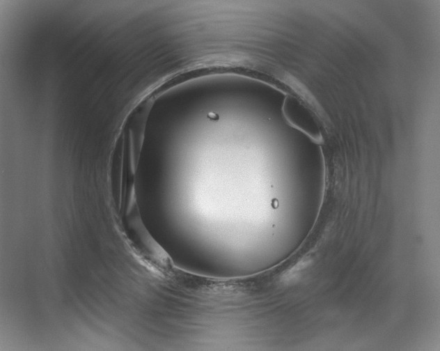 X0000070240834200606091332