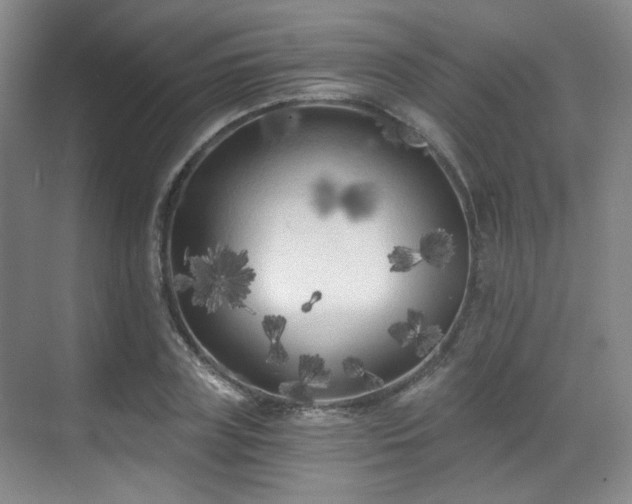 X0000070240835200606091332