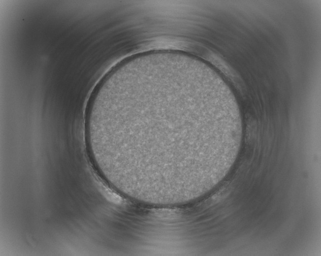 X0000070240836200606091332