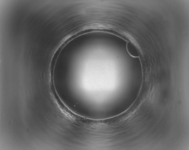 X0000070240837200606091332