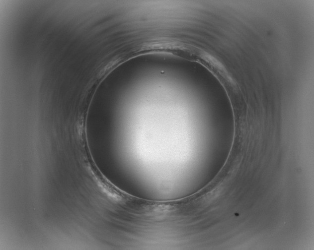 X0000070240841200606091333