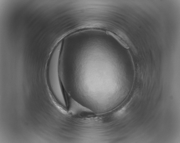 X0000070240842200606091333