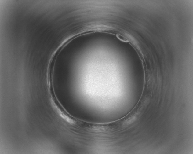 X0000070240843200606091333