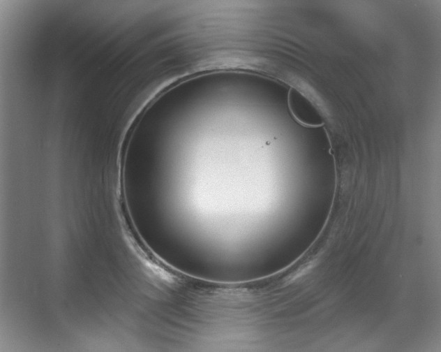 X0000070240844200606091333