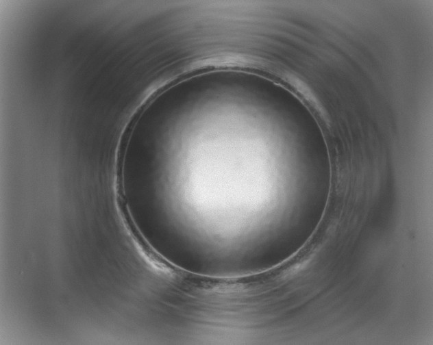 X0000070240845200606091333