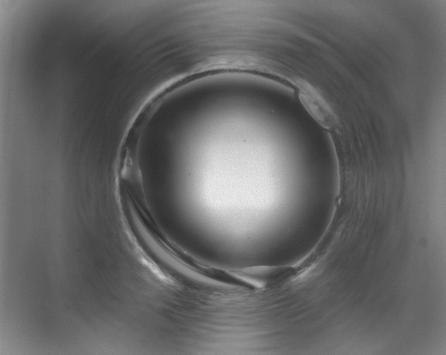 X0000070240846200606091333