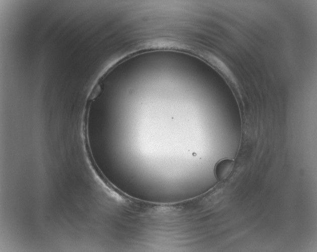 X0000070240847200606091333