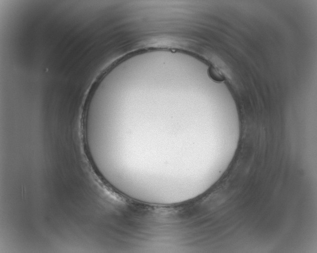 X0000070240848200606091333