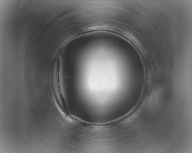 X0000070240849200606091333