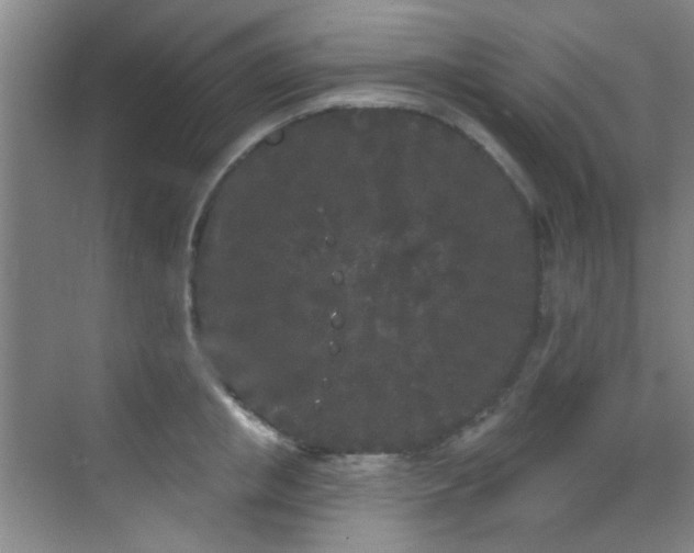 X0000070240853200606091333