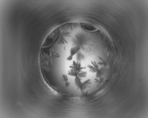 X0000070240855200606091333