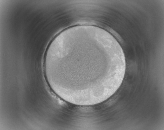 X0000070240856200606091333