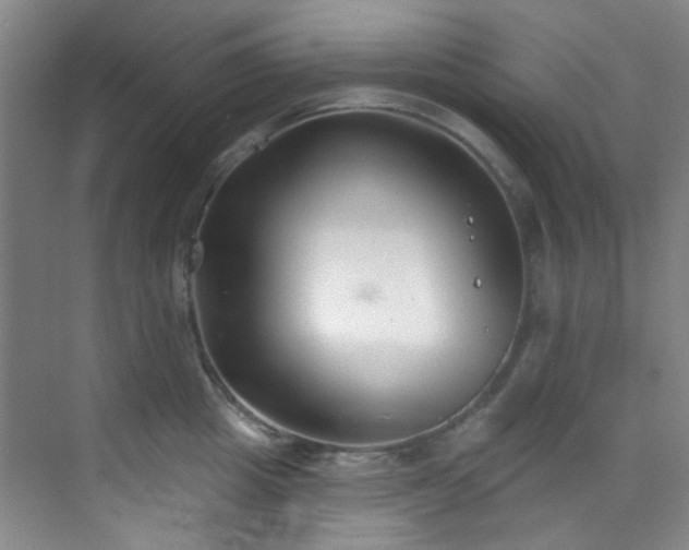 X0000070240857200606091333