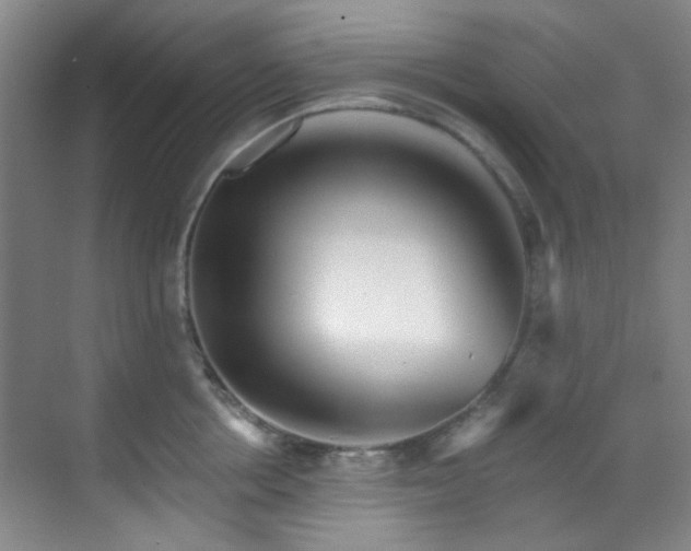 X0000070240858200606091333