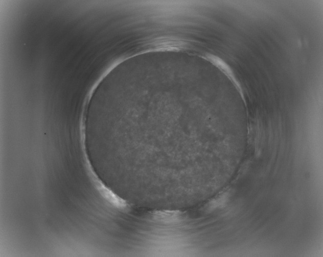 X0000070240859200606091333