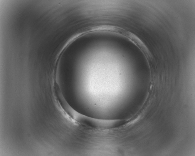 X0000070240860200606091333