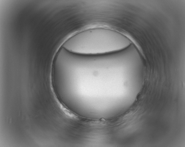 X0000070240861200606091333