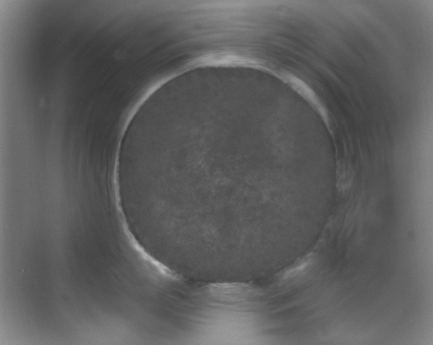 X0000070240863200606091333