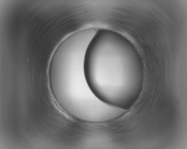 X0000070240864200606091333