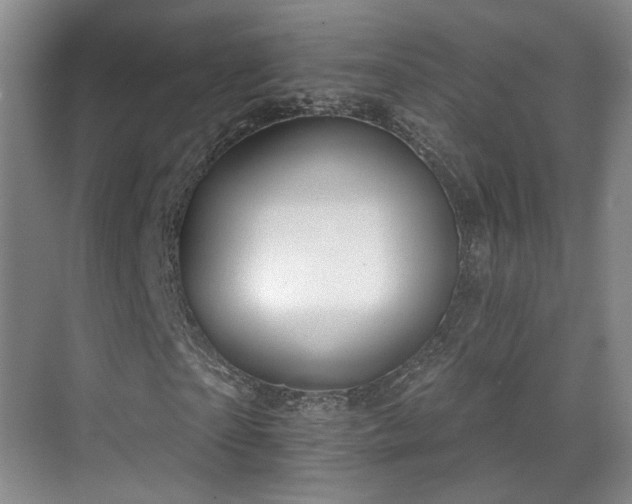 X0000070240865200606091332