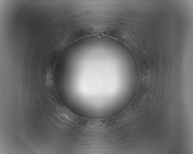 X0000070240866200606091332