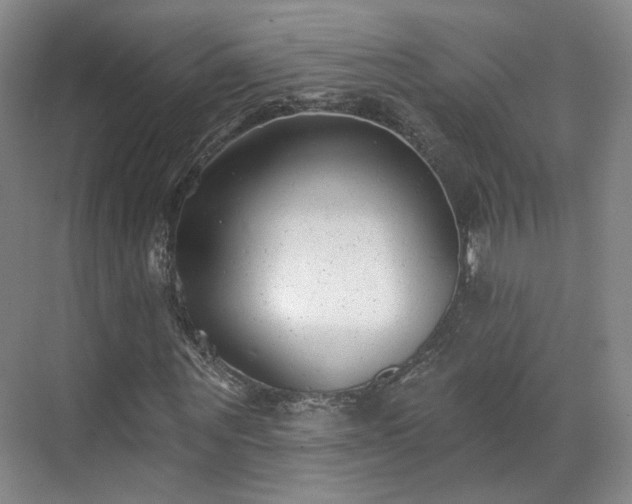 X0000070240867200606091332