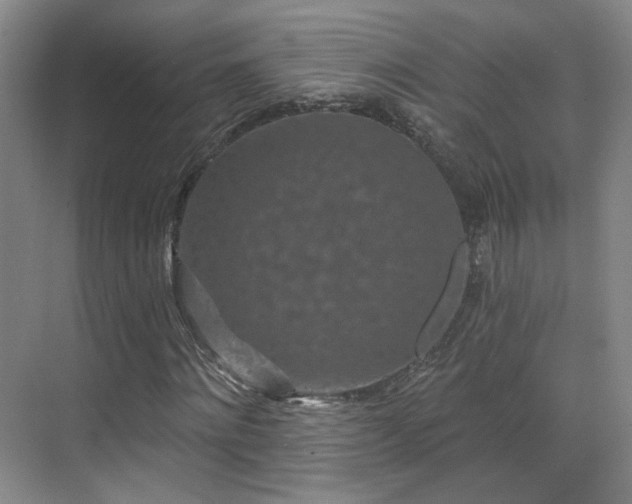 X0000070240868200606091332