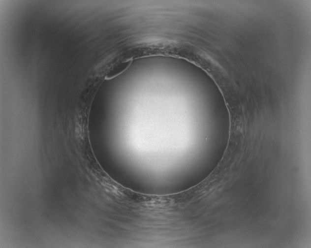 X0000070240869200606091332