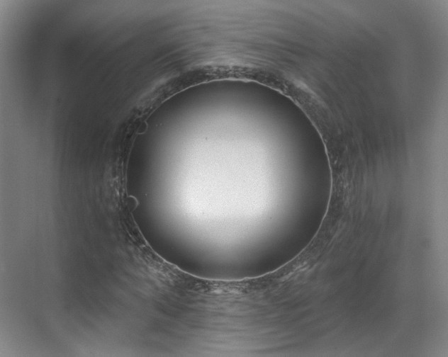 X0000070240870200606091332