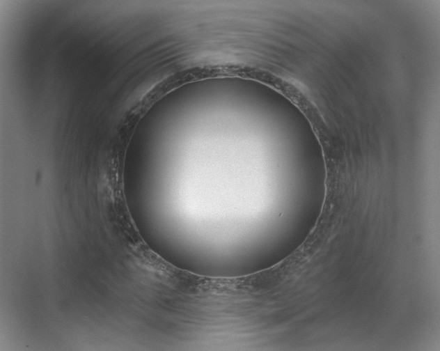 X0000070240871200606091332