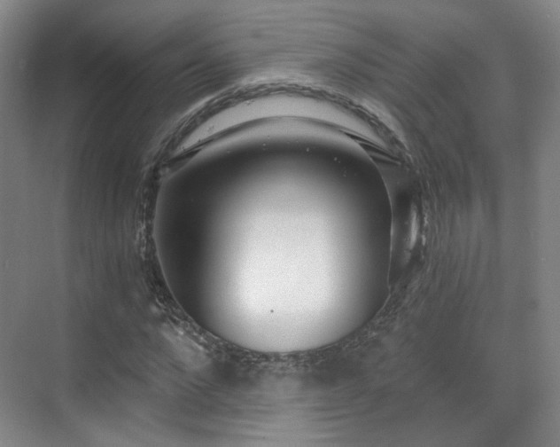 X0000070240872200606091332