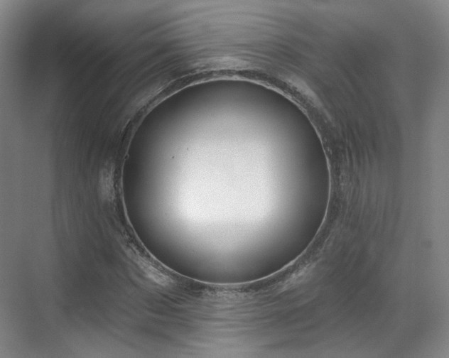 X0000070240873200606091332